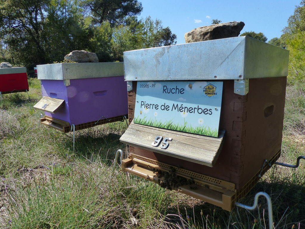 La ruche Pierre de Ménerbes