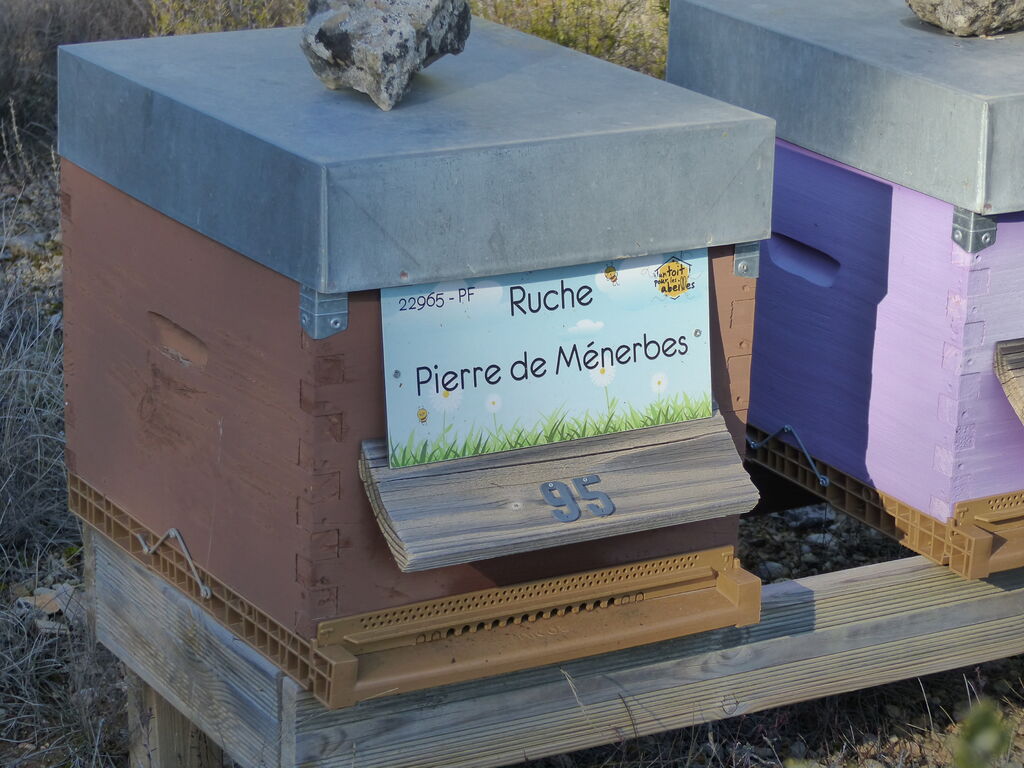 La ruche Pierre de Ménerbes