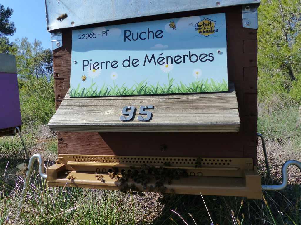 La ruche Pierre de Ménerbes