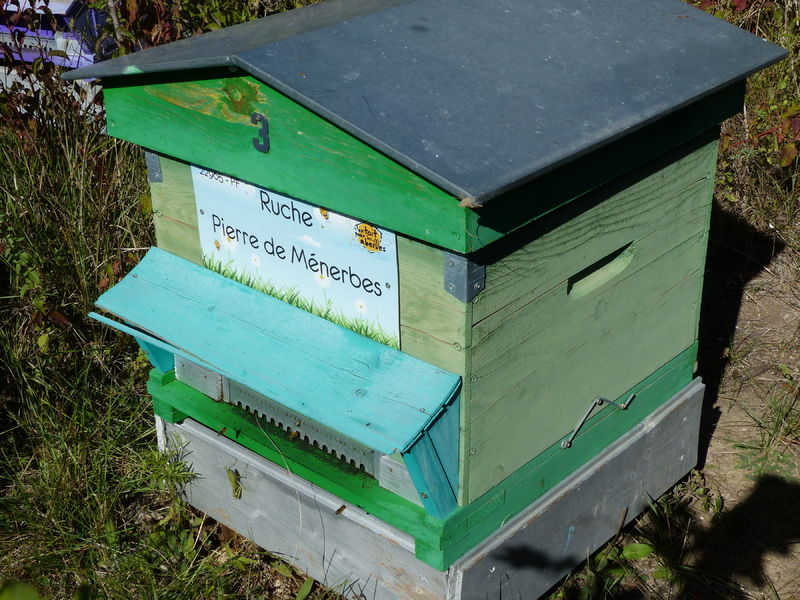 La ruche Pierre de Ménerbes