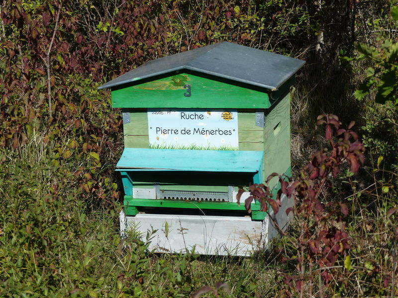 La ruche Pierre de Ménerbes