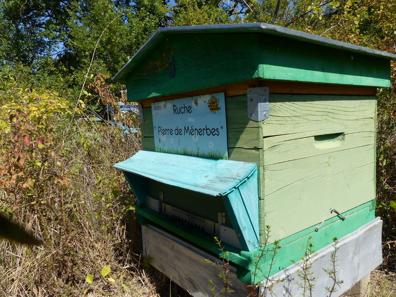 La ruche Pierre de Ménerbes