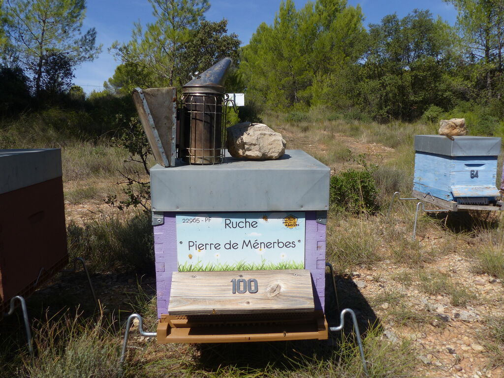 La ruche Pierre de Ménerbes