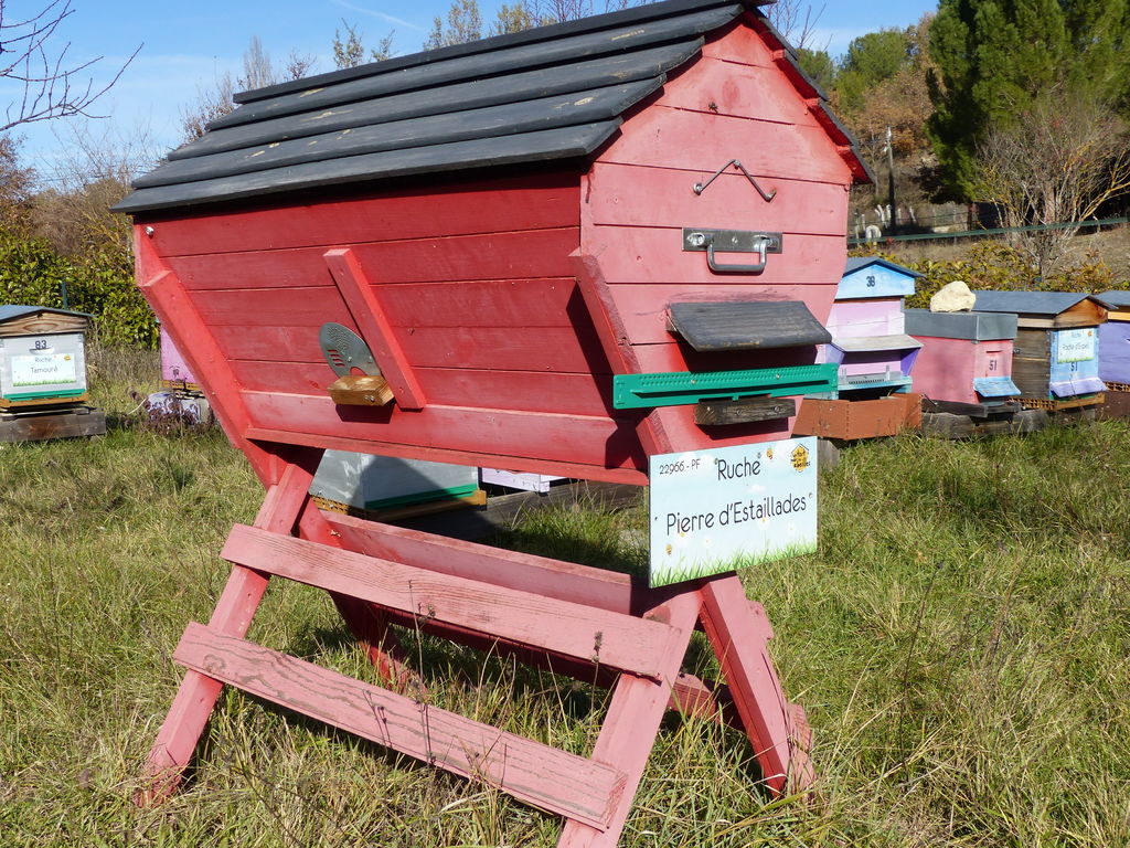 La ruche Pierre de Ménerbes