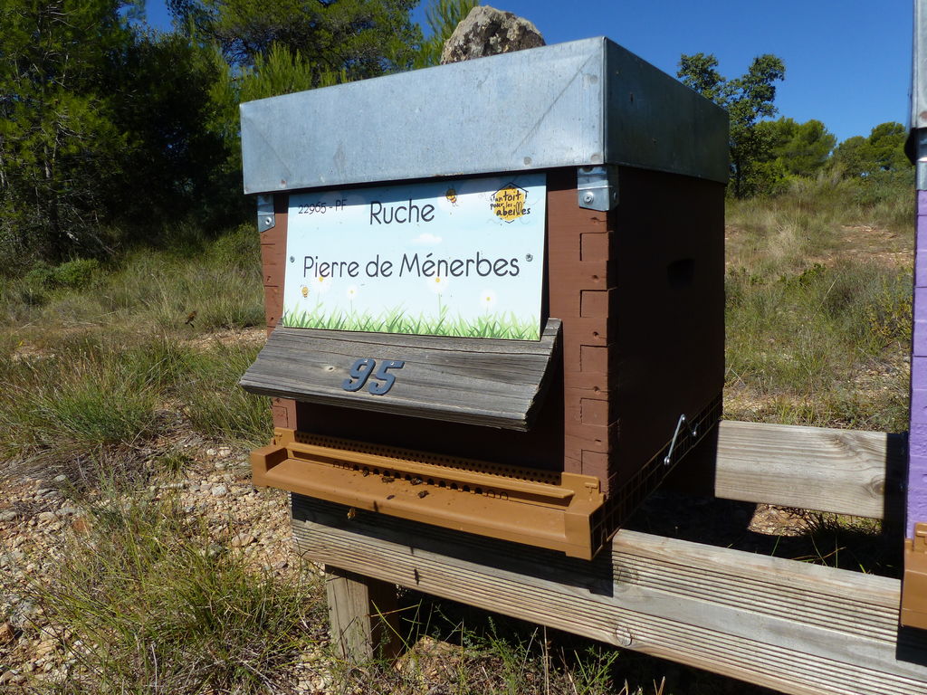 La ruche Pierre de Ménerbes