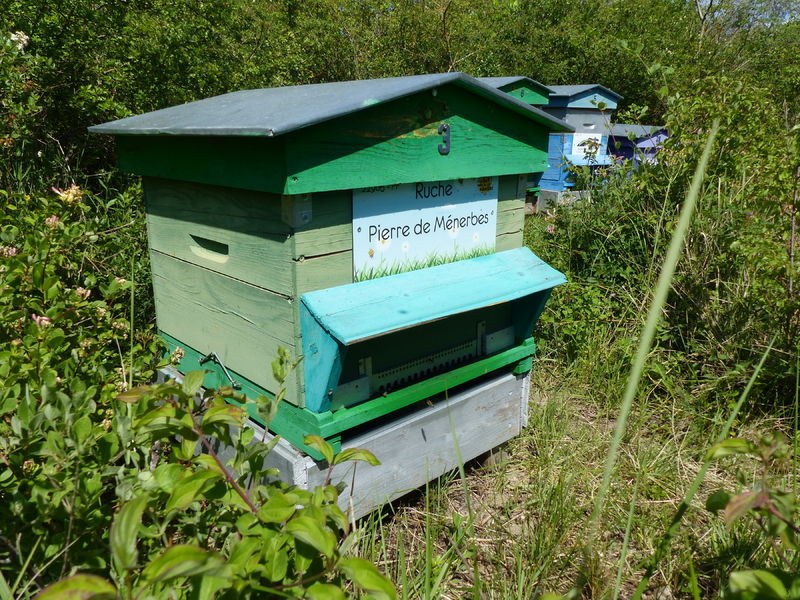 La ruche Pierre de Ménerbes