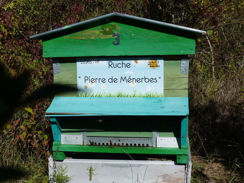 La ruche Pierre de Ménerbes