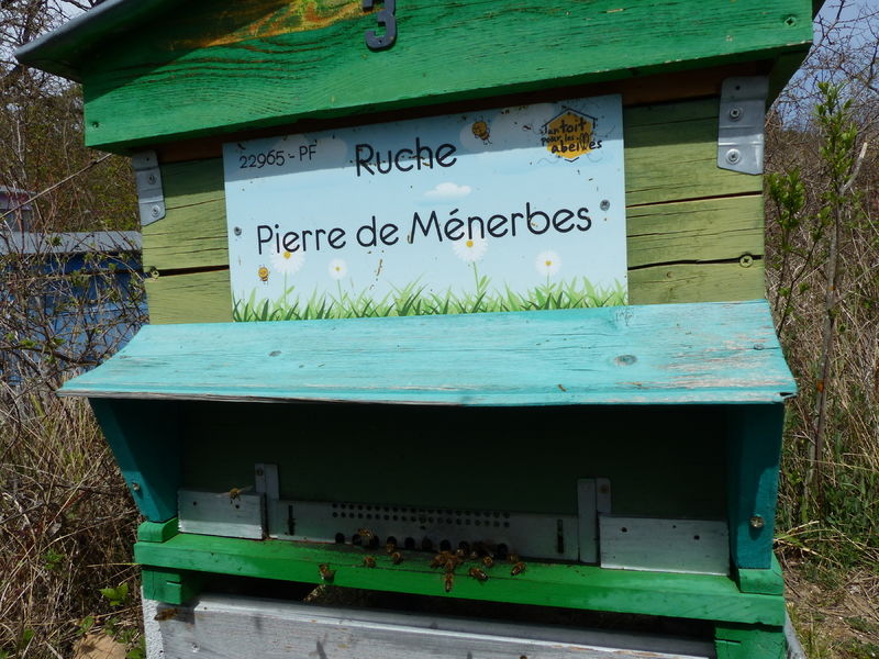 La ruche Pierre de Ménerbes