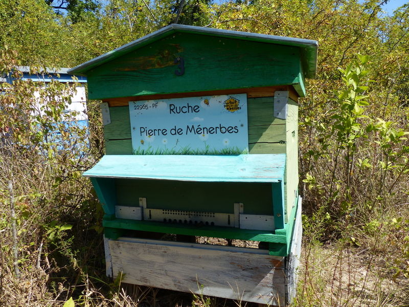 La ruche Pierre de Ménerbes