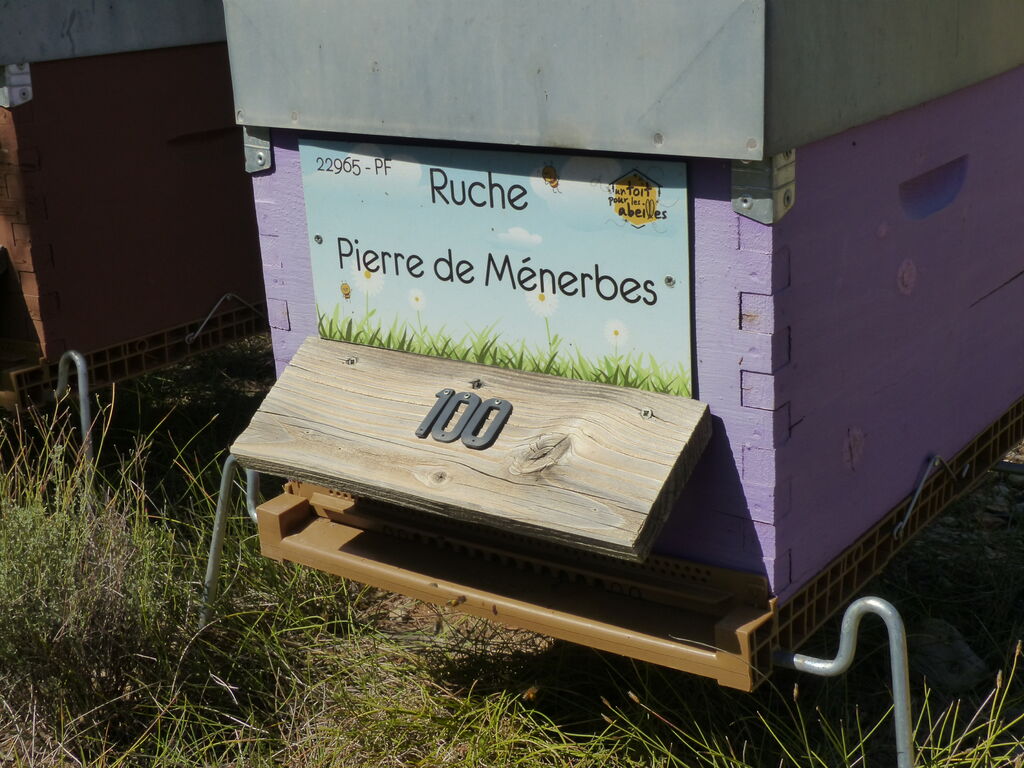 La ruche Pierre de Ménerbes