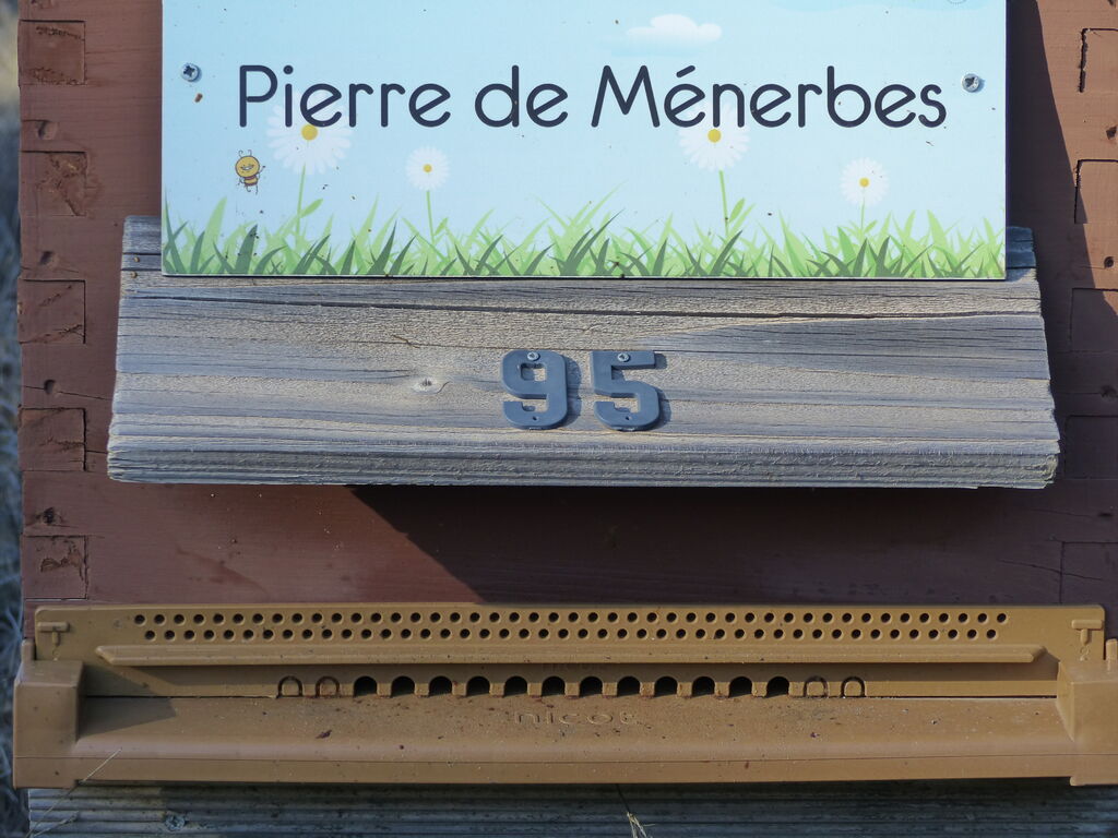 La ruche Pierre de Ménerbes