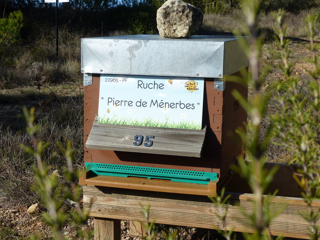 La ruche Pierre de Ménerbes