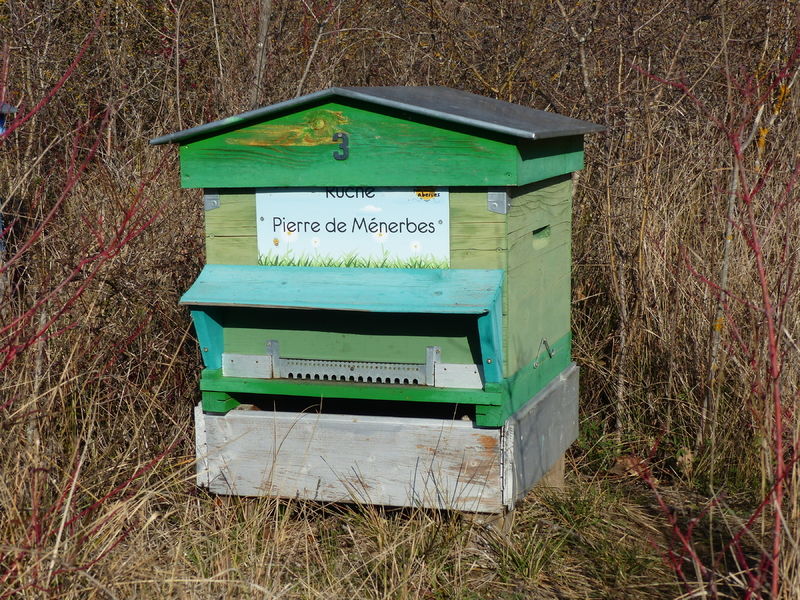La ruche Pierre de Ménerbes