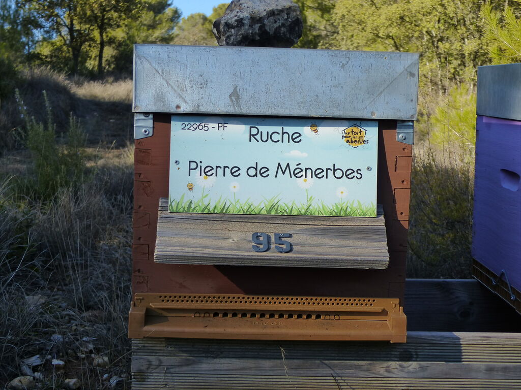 La ruche Pierre de Ménerbes