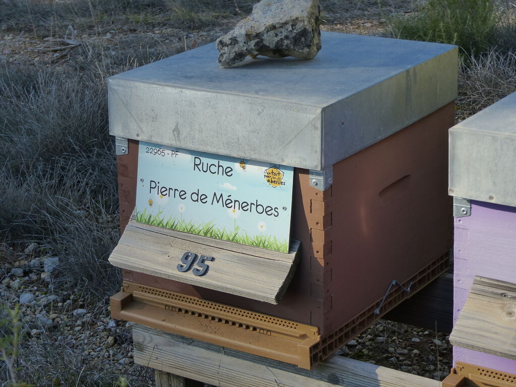 La ruche Pierre de Ménerbes