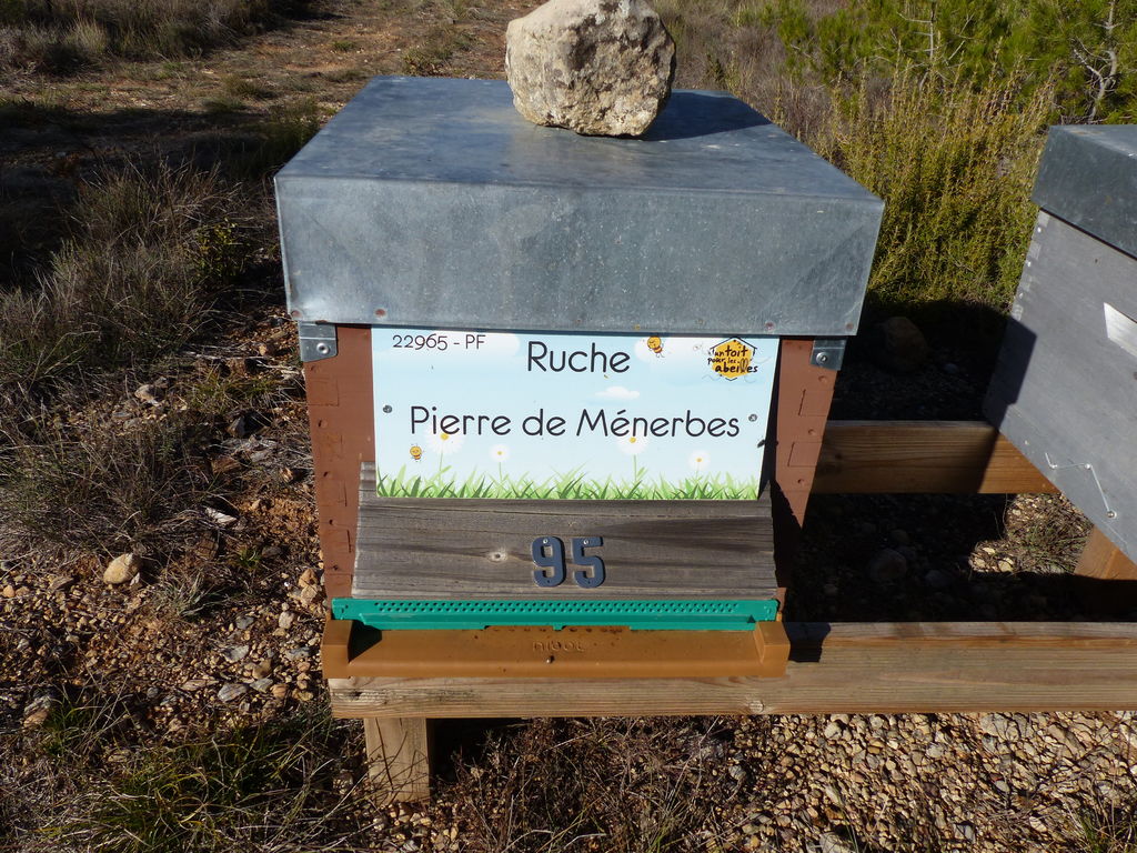 La ruche Pierre de Ménerbes