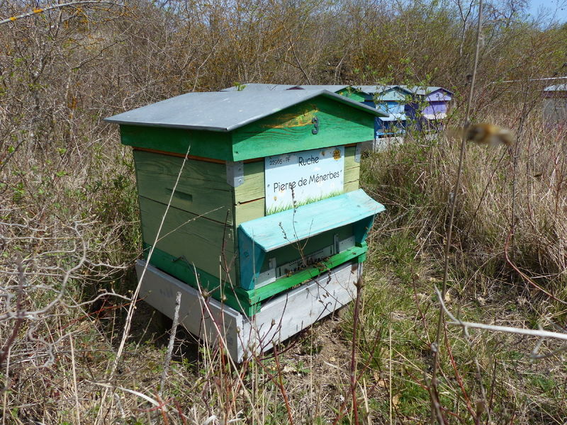 La ruche Pierre de Ménerbes