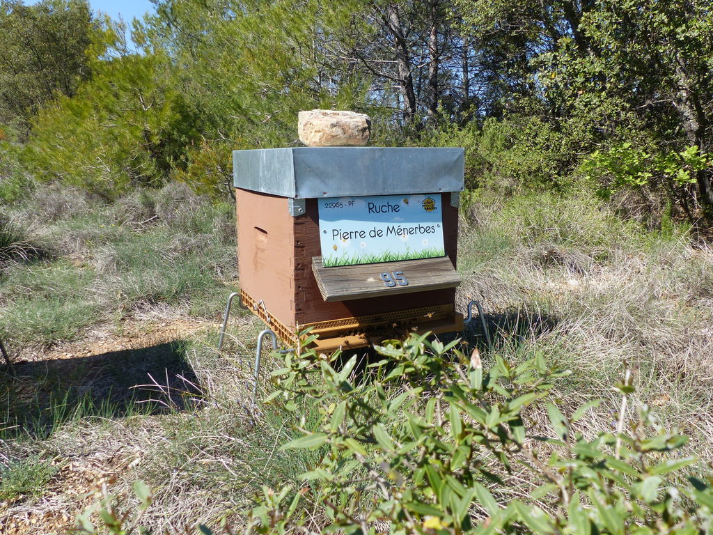 La ruche Pierre de Ménerbes