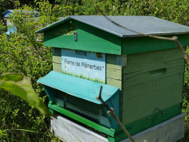 La ruche Pierre de Ménerbes