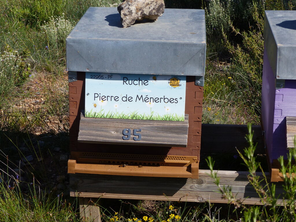 La ruche Pierre de Ménerbes