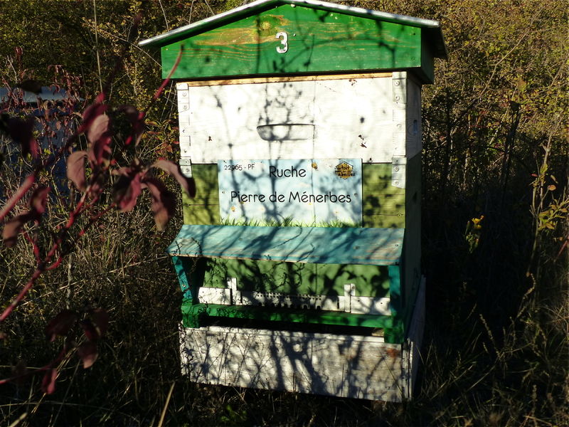 La ruche Pierre de Ménerbes