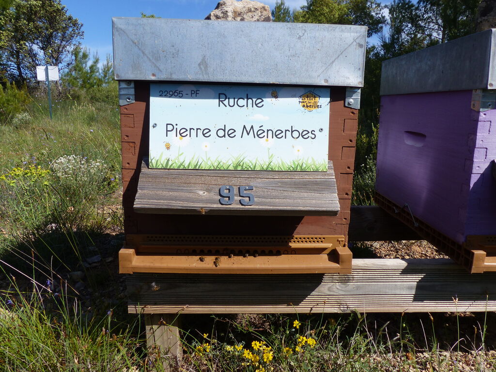 La ruche Pierre de Ménerbes