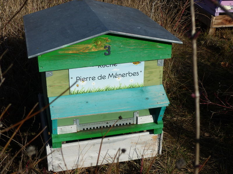 La ruche Pierre de Ménerbes