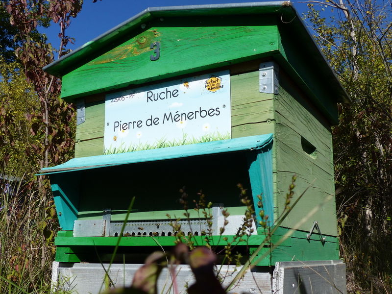 La ruche Pierre de Ménerbes