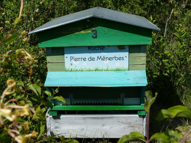 La ruche Pierre de Ménerbes