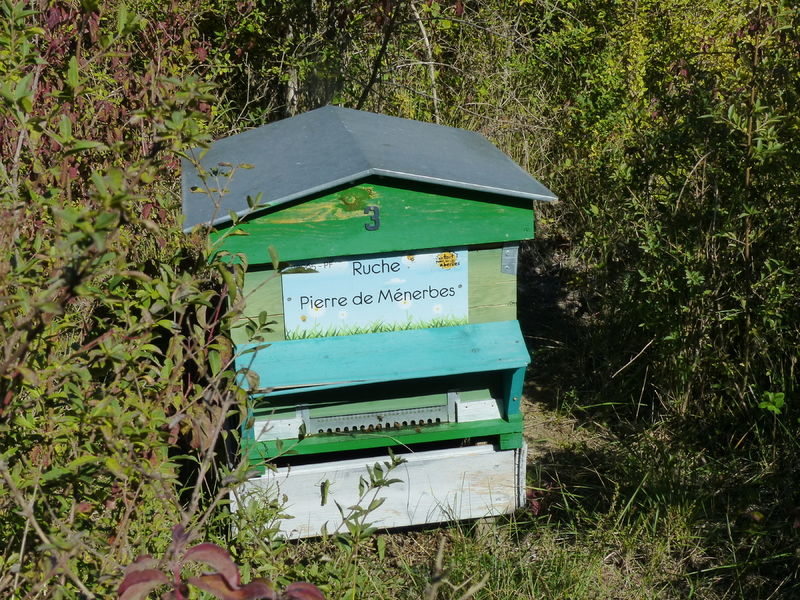 La ruche Pierre de Ménerbes