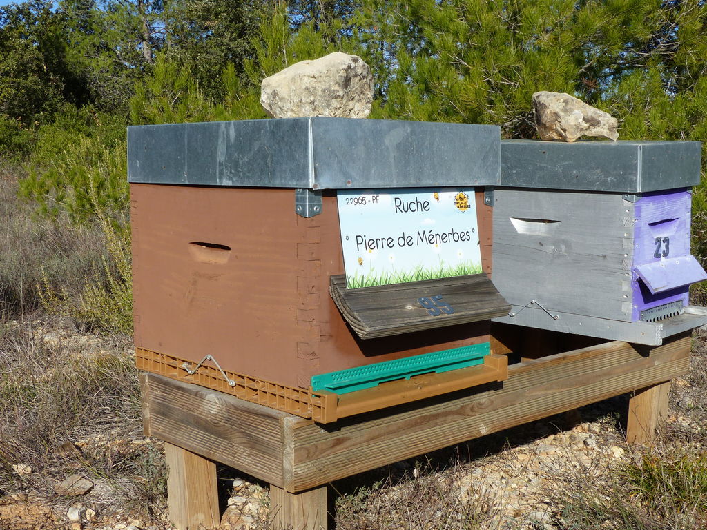 La ruche Pierre de Ménerbes