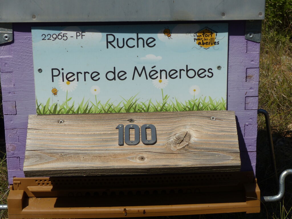 La ruche Pierre de Ménerbes