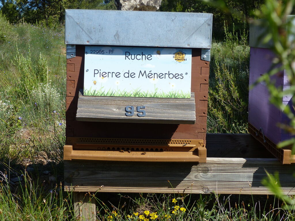La ruche Pierre de Ménerbes