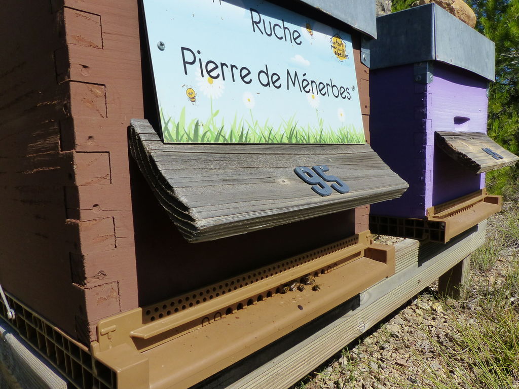 La ruche Pierre de Ménerbes