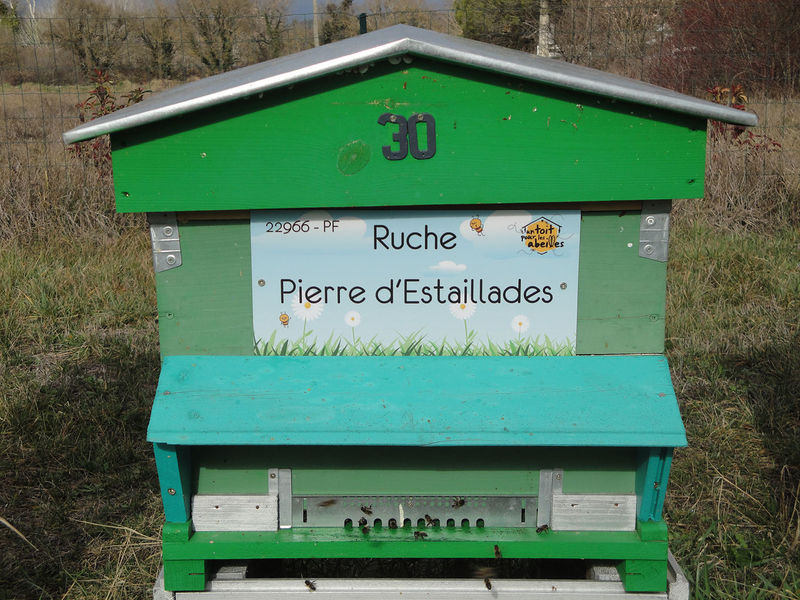 La ruche Pierre d