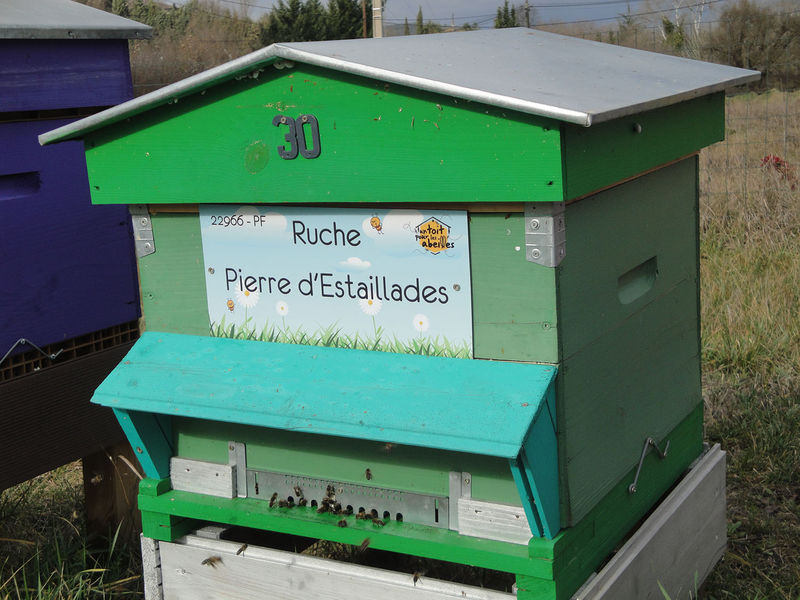 La ruche Pierre d