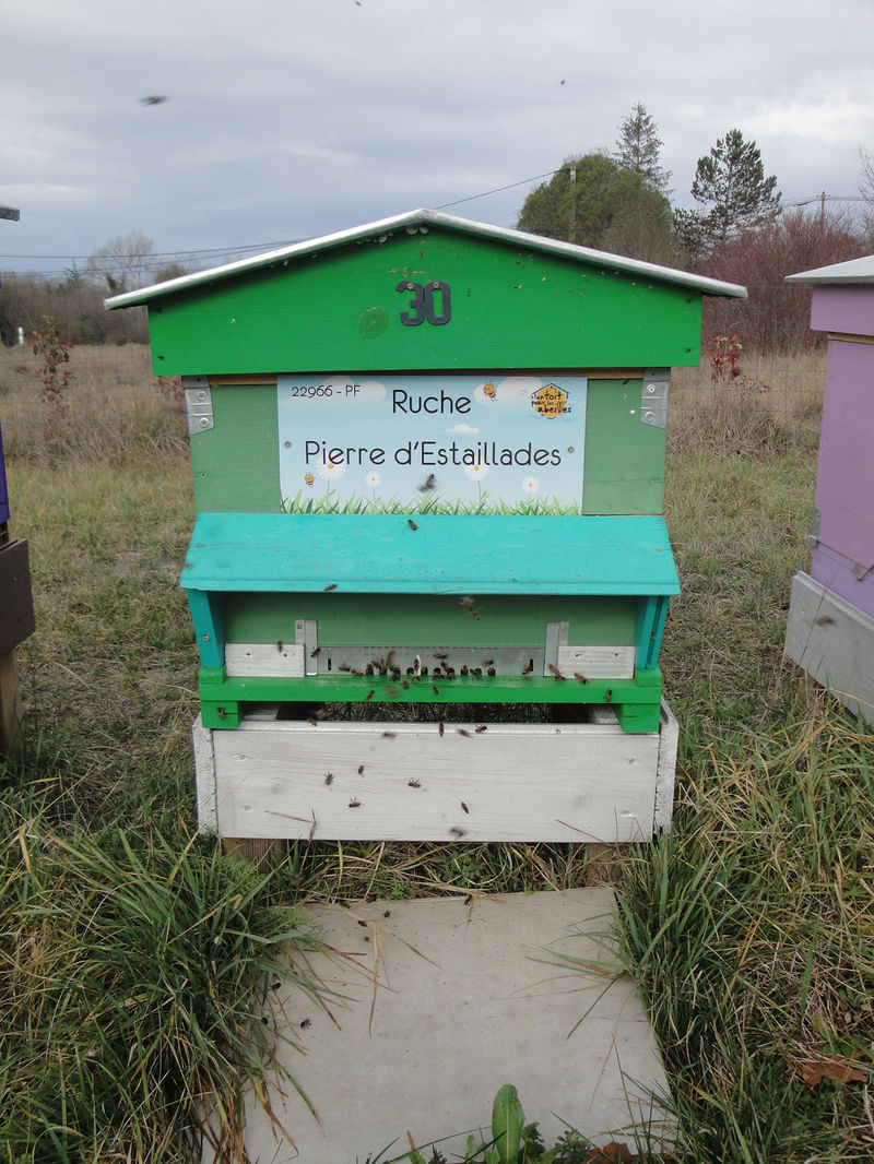 La ruche Pierre d