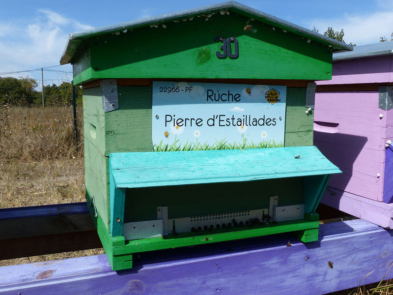 La ruche Pierre d