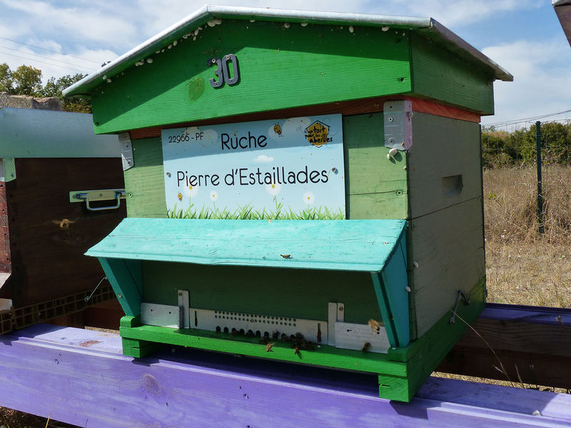 La ruche Pierre d