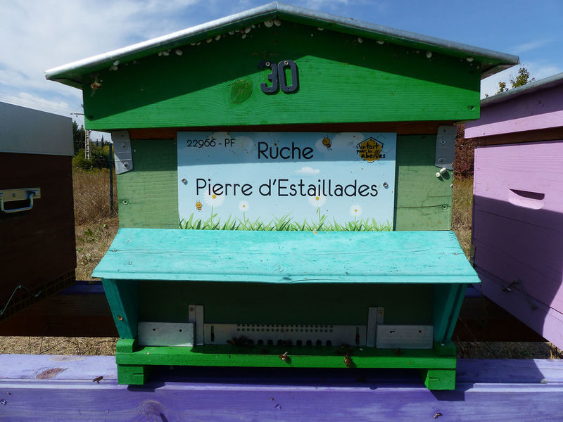 La ruche Pierre d