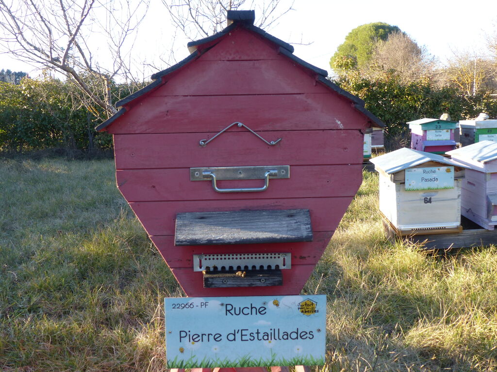 La ruche Pierre d