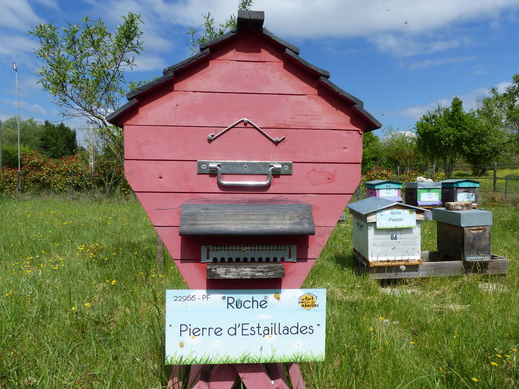 La ruche Pierre d