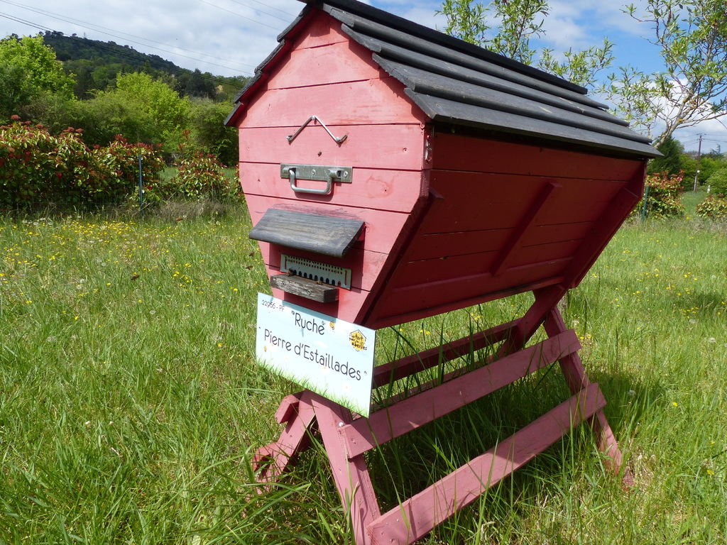 La ruche Pierre d