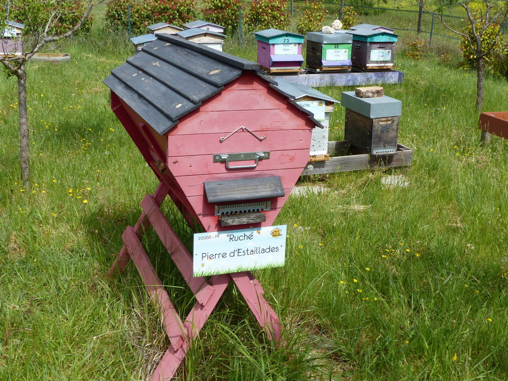 La ruche Pierre d