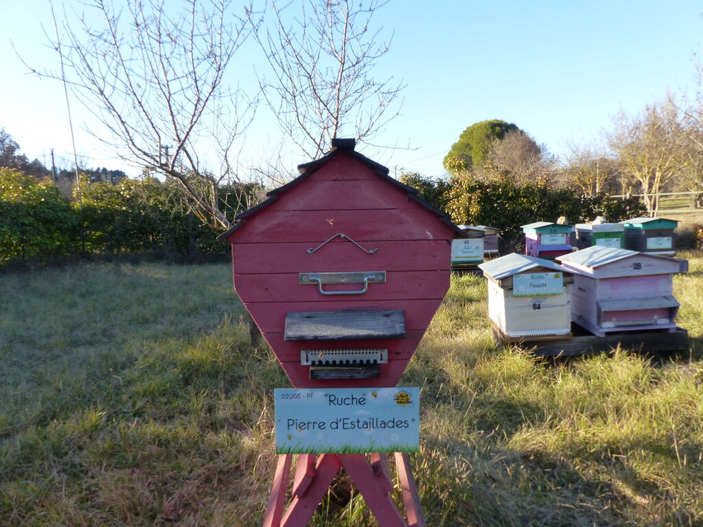 La ruche Pierre d