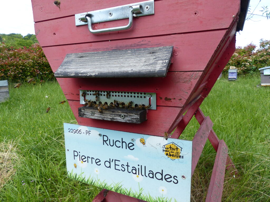 La ruche Pierre d