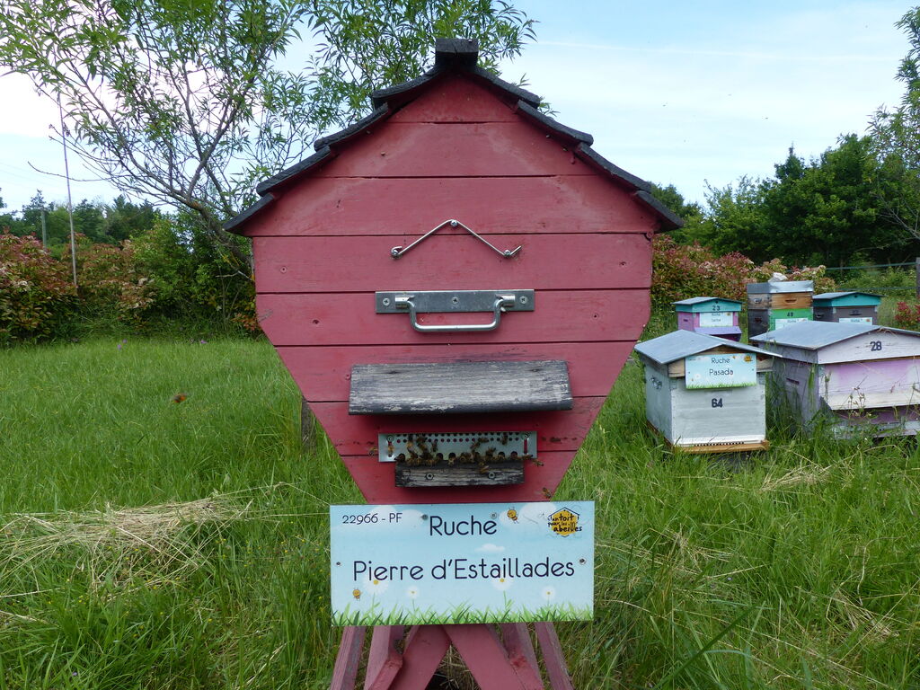 La ruche Pierre d