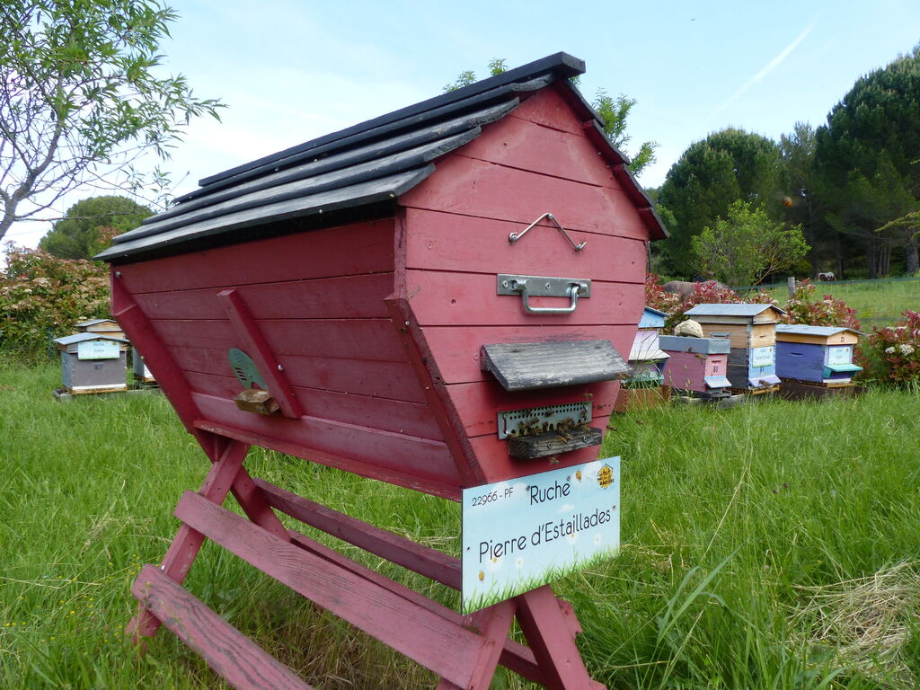 La ruche Pierre d