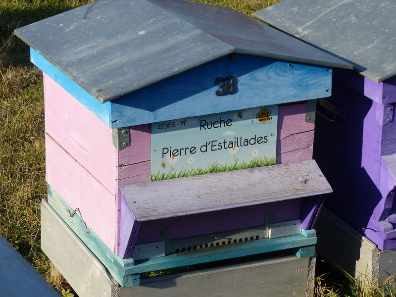 La ruche Pierre d