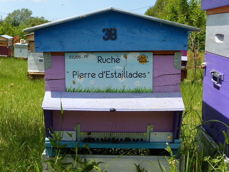 La ruche Pierre d